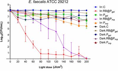 Broad-Spectrum Photo-Antimicrobial Polymers Based on Cationic Polystyrene and Rose Bengal